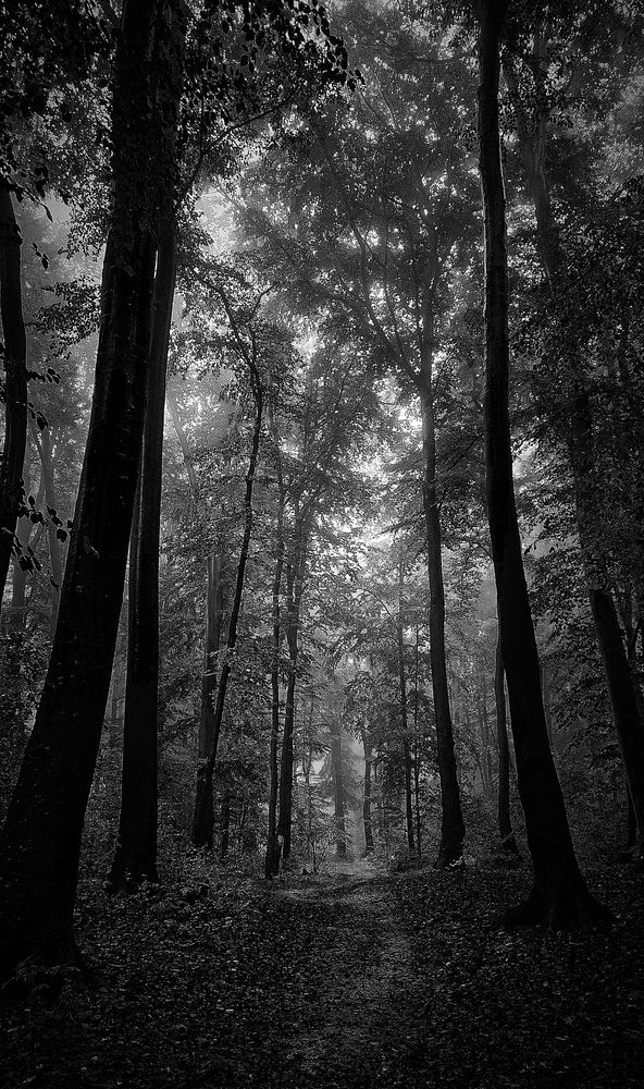 Photograph by Анна Штабель