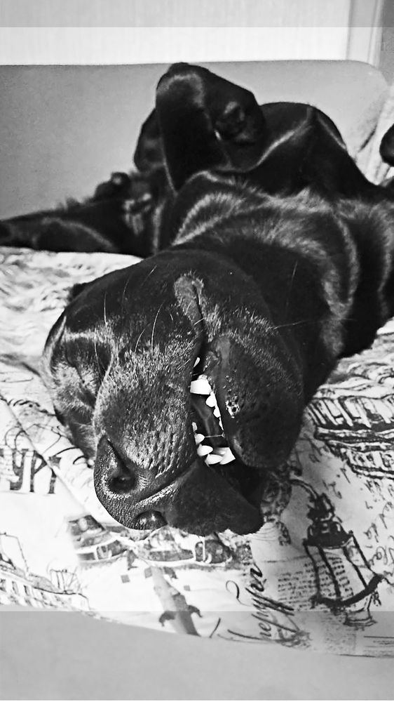 Photograph by Виктория Колышева