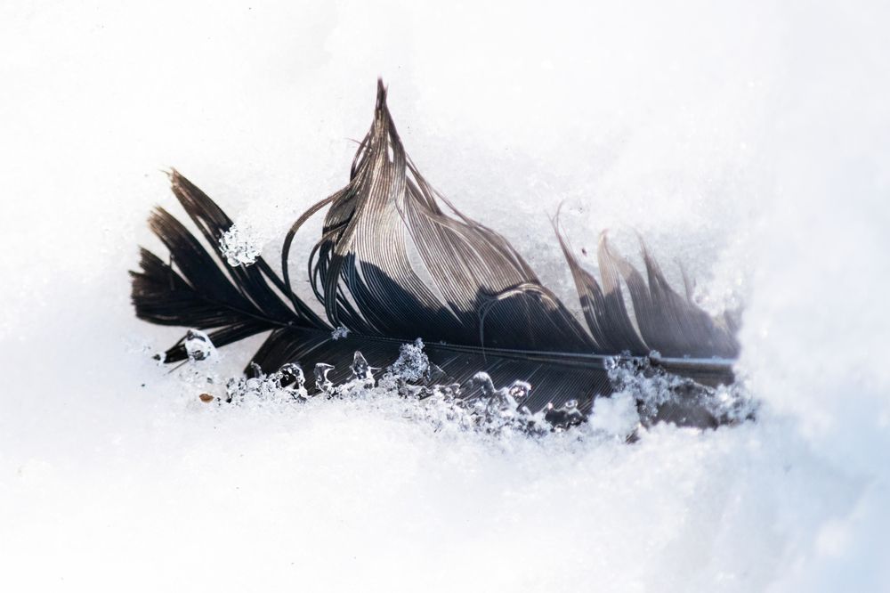 Photograph by Дмитрий Кудрявцев