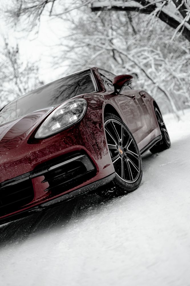 Фотография автора Никита Сагунов