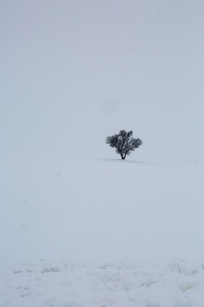 Photograph by barkat Ahmida