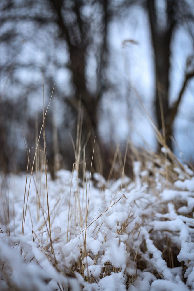 Photograph by Марина Криштопова
