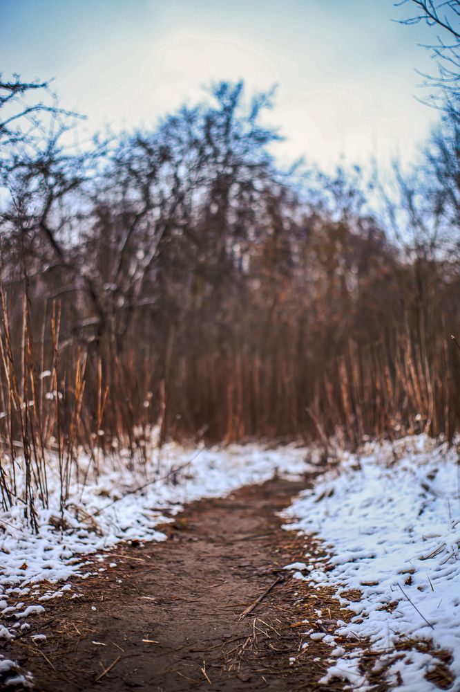 Photograph by Марина Криштопова