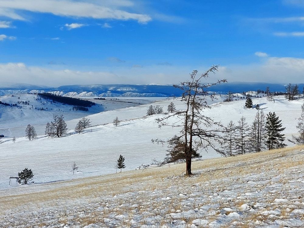 Photograph by Елена Царёва