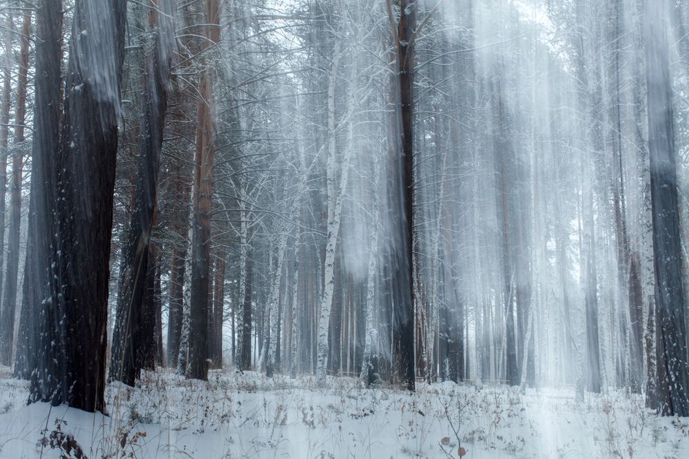 Фотография автора Valery Zonov