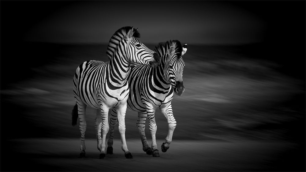 Photograph by Carol Phillips