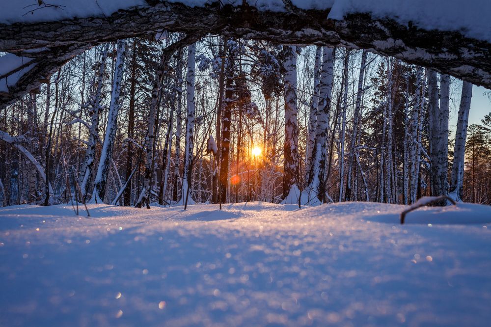 Фотография автора Valery Zonov