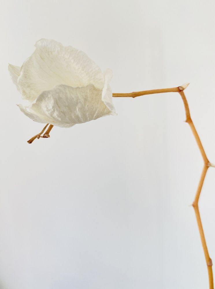 В каждом состоянии есть свои прелести…