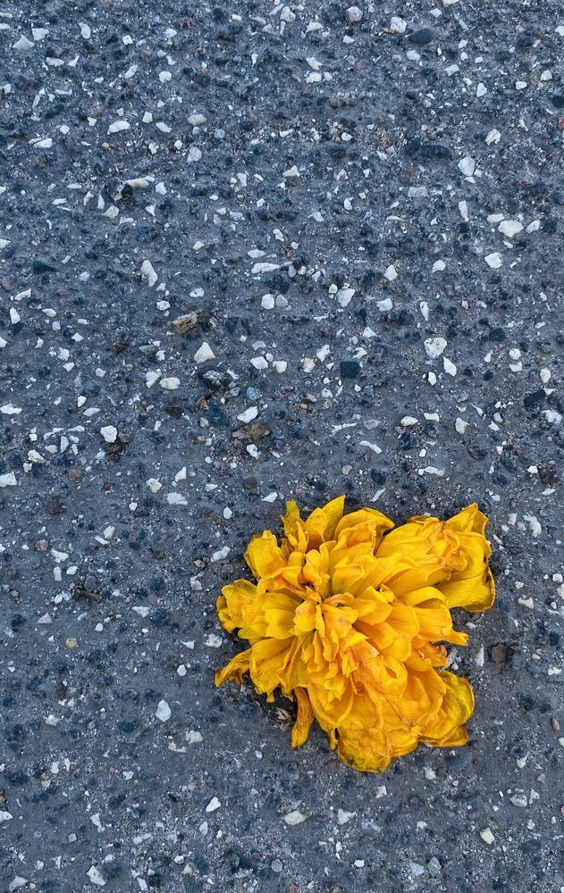 Photograph by Yuliia Sukhanova