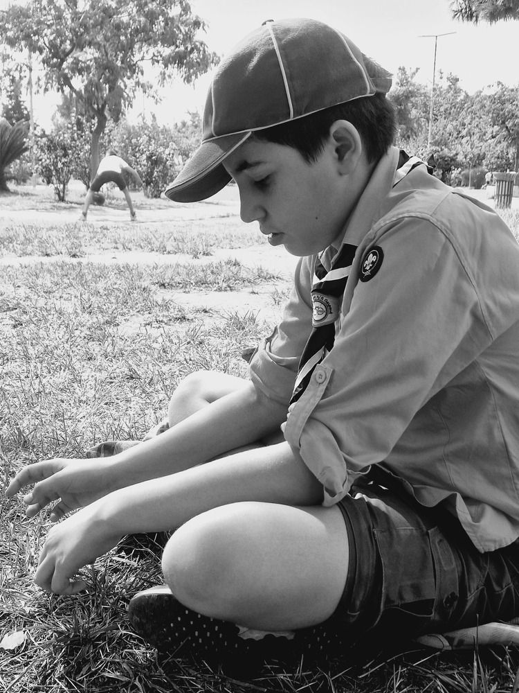 Фотография автора Елена Алексеева