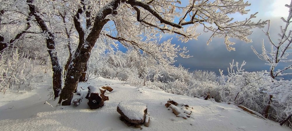 Photograph by Елена Брежицкая