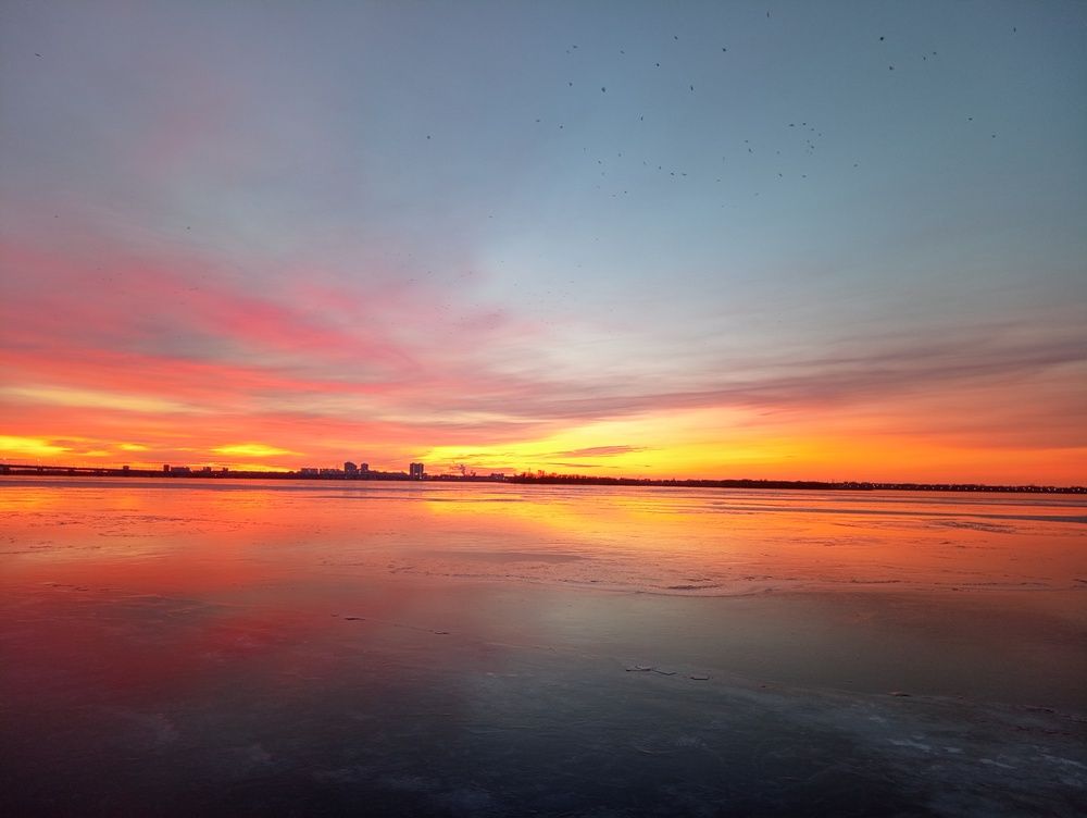 Photo #11866471