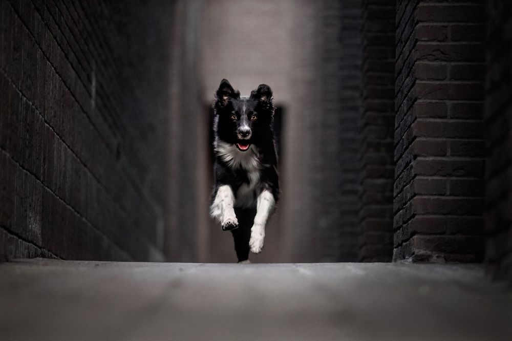 Photograph by Monika Maciejewska