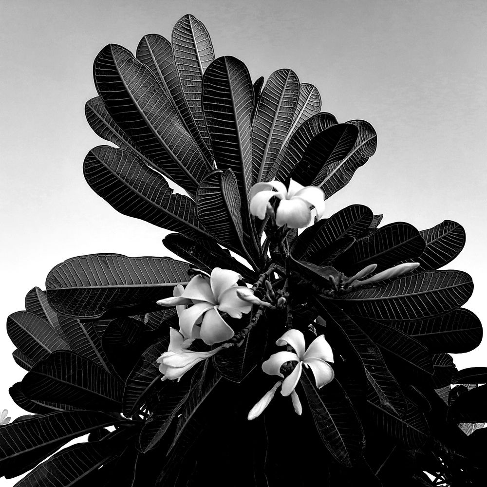 Фотография автора Анастасия Зверева