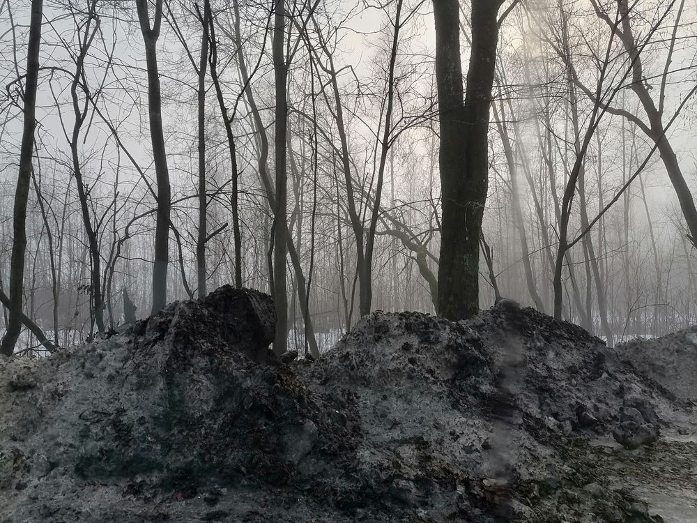 Фотография автора Анастасия Зверева