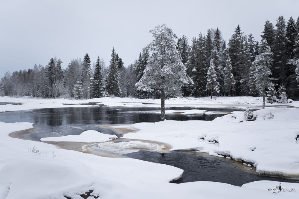 Photograph by Yinna Paola Higuera Bernal