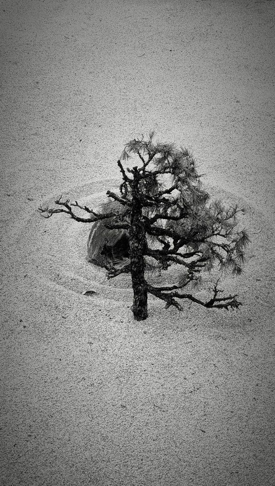 Photograph by Gr Marie