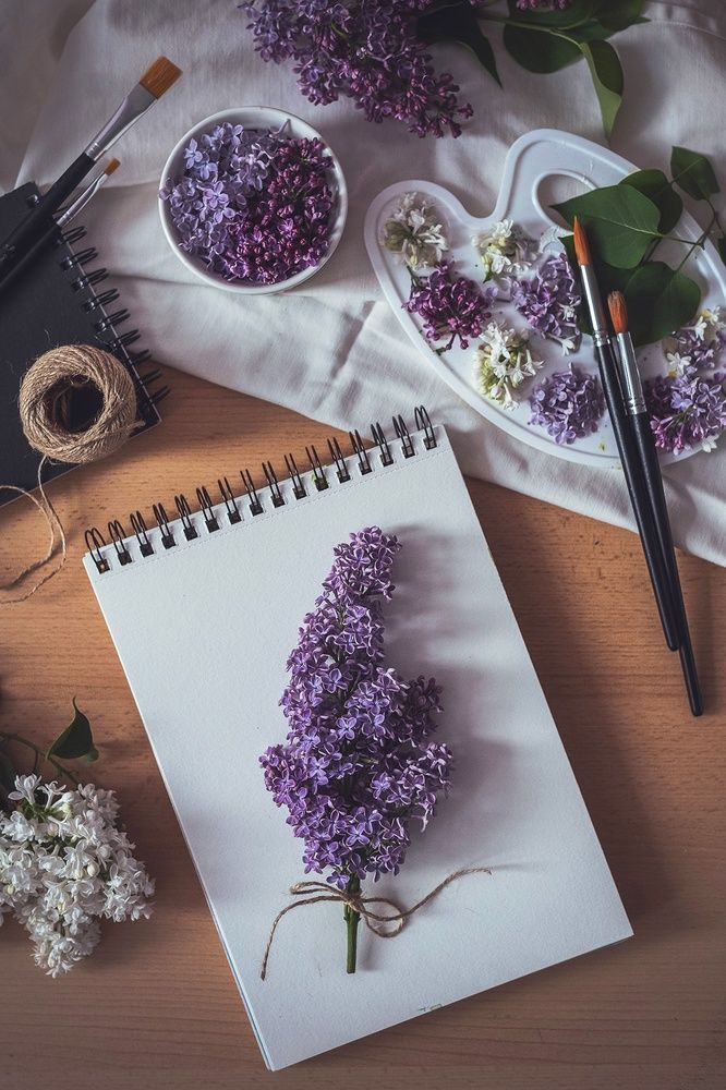 Silent Moments of Lilacs