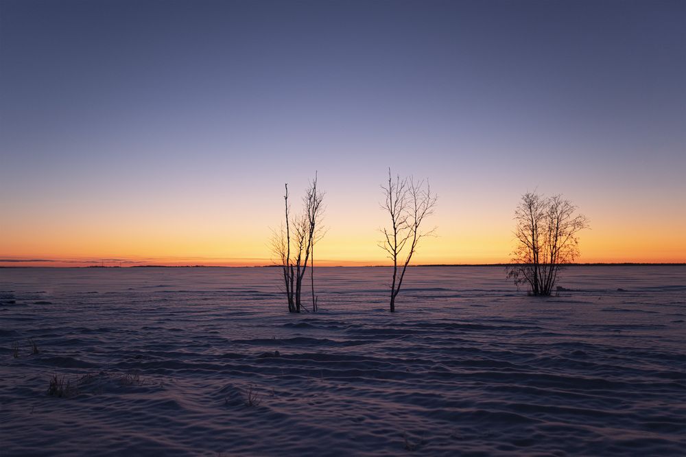 Photograph by Yinna Paola Higuera Bernal