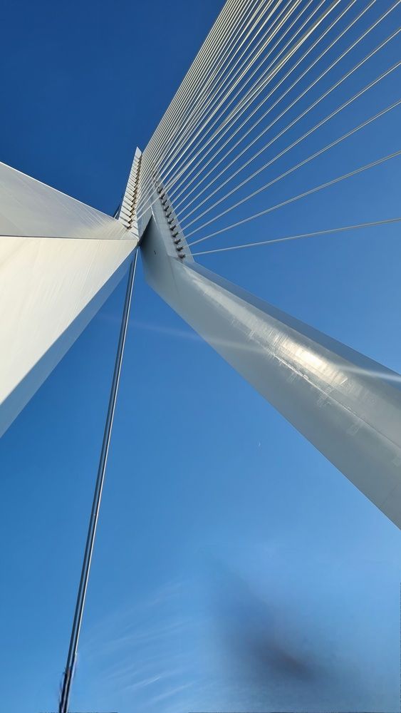 Photograph by DB channel