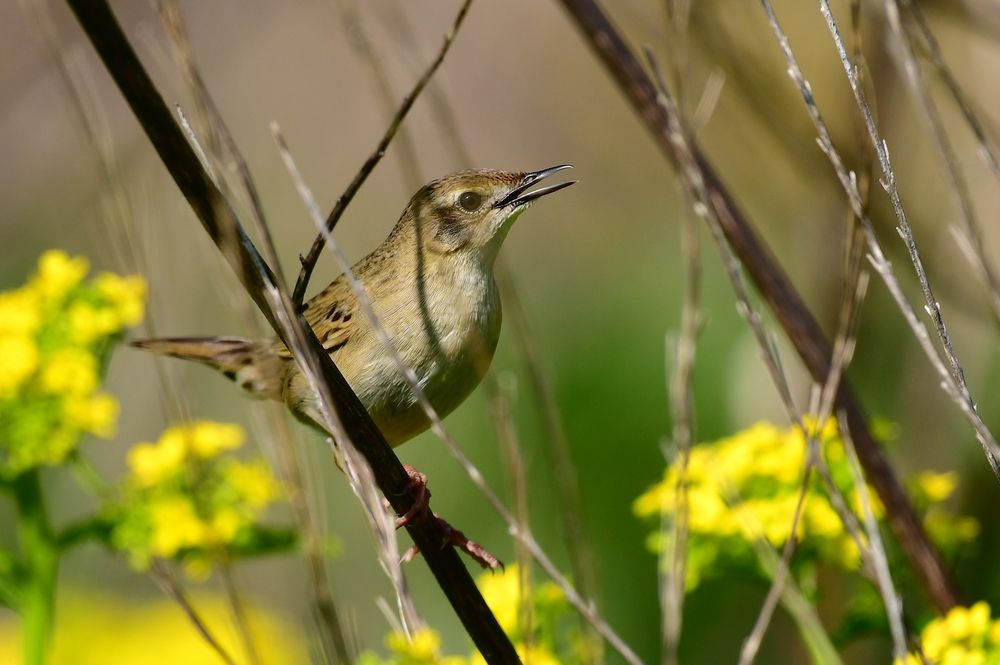 Photograph by Николай Абакумов
