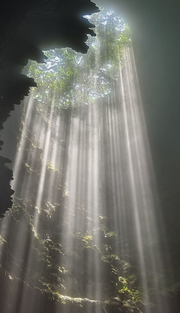 Фотография автора Светлана Зимина