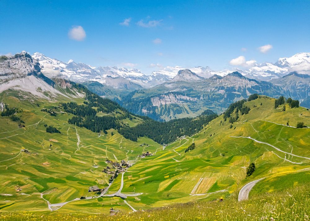 Фотография автора Alex Lerner