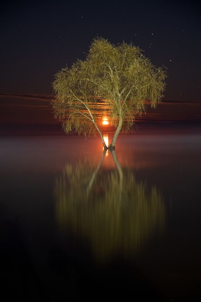 Photograph by Александр Парамонов