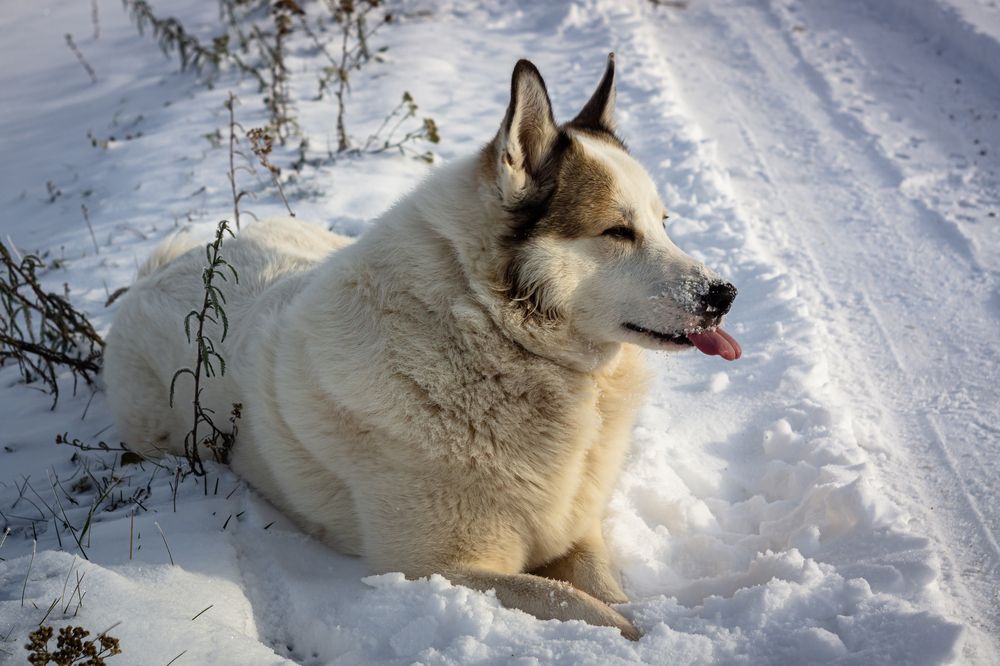 Photograph by Slavcan Vinnikov