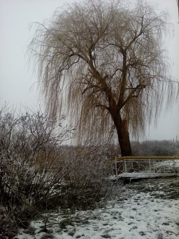 Хрустальная нежность