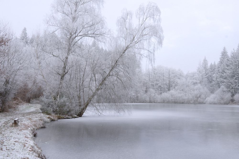 Photograph by LYUDMYLA POKRYSHEN