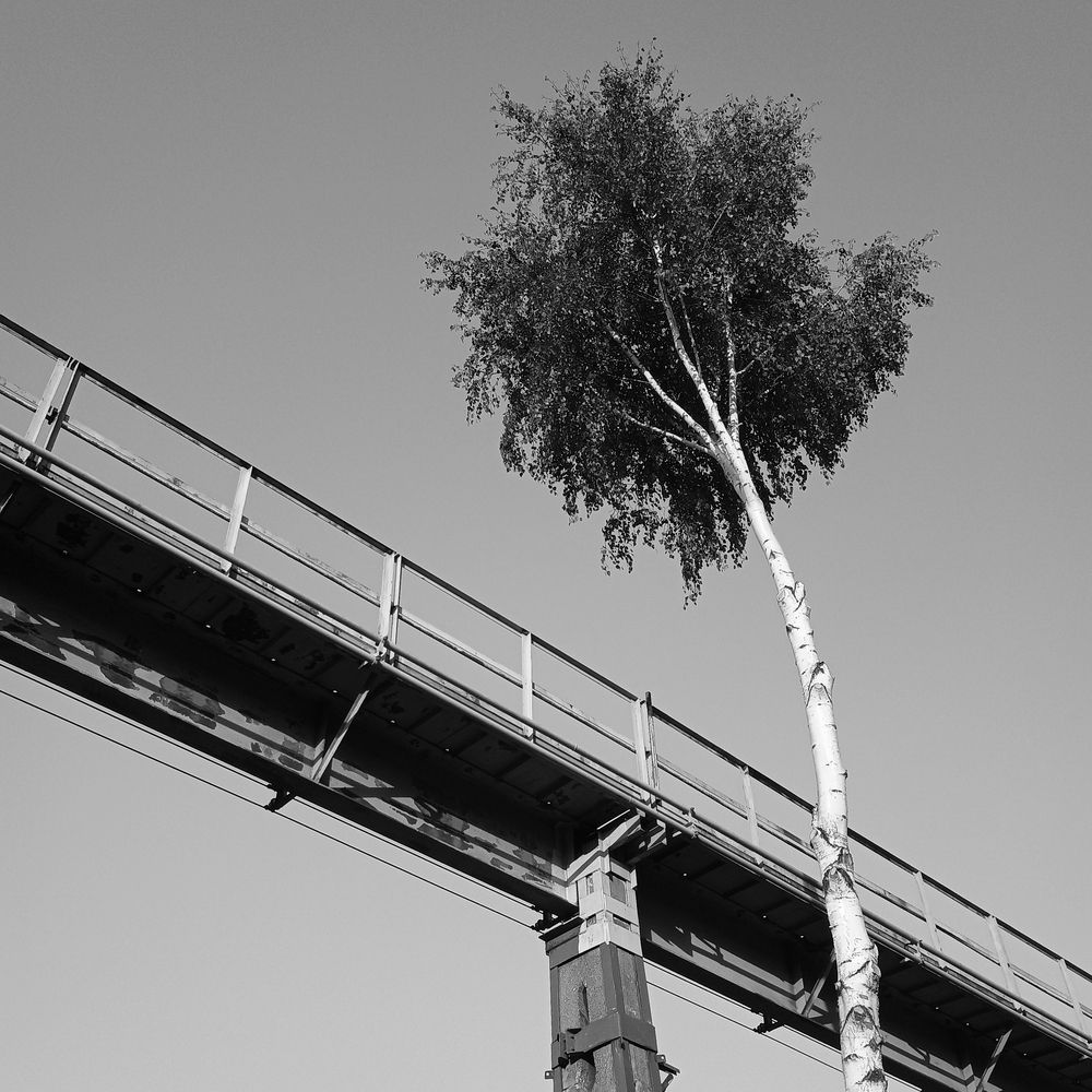 Photograph by Tomasz Dunajski