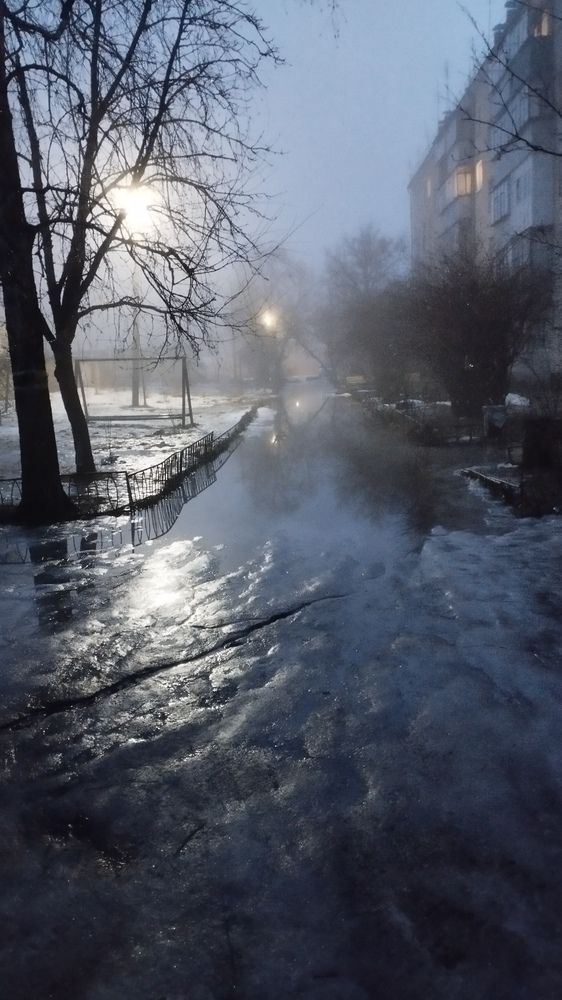 Photo #11866640