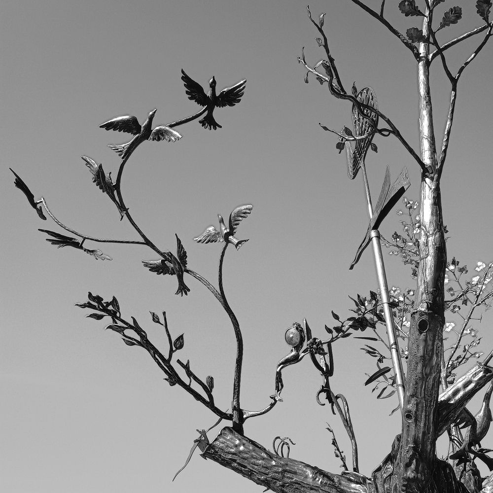 Photograph by Tomasz Dunajski