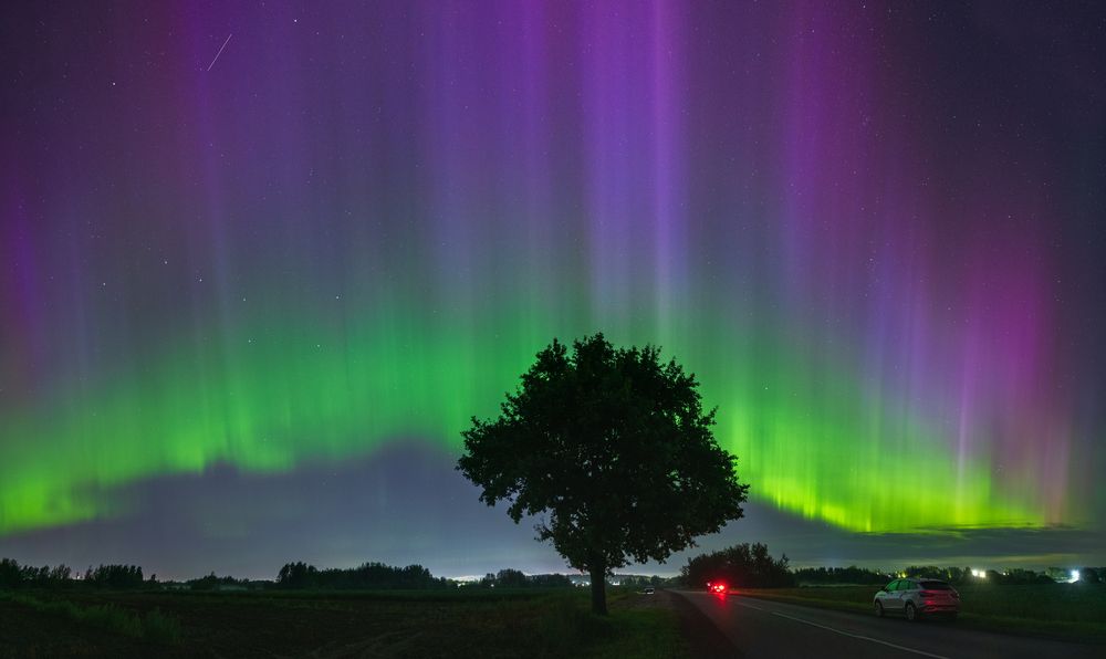 Photograph by Александр Парамонов