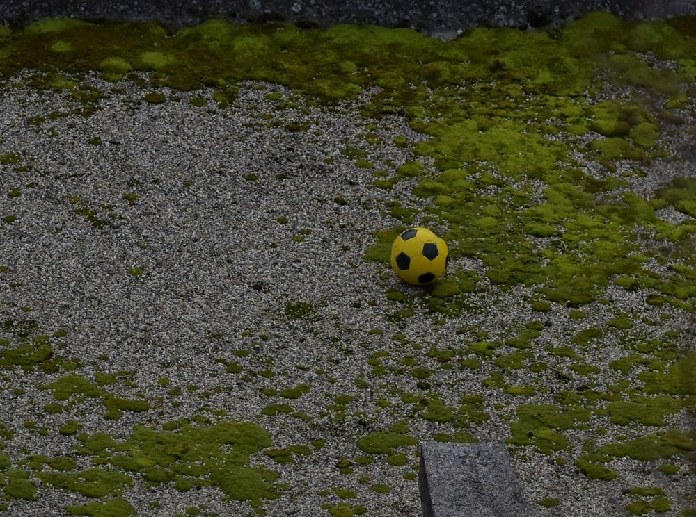 Photograph by Zlatko Ibrahimović