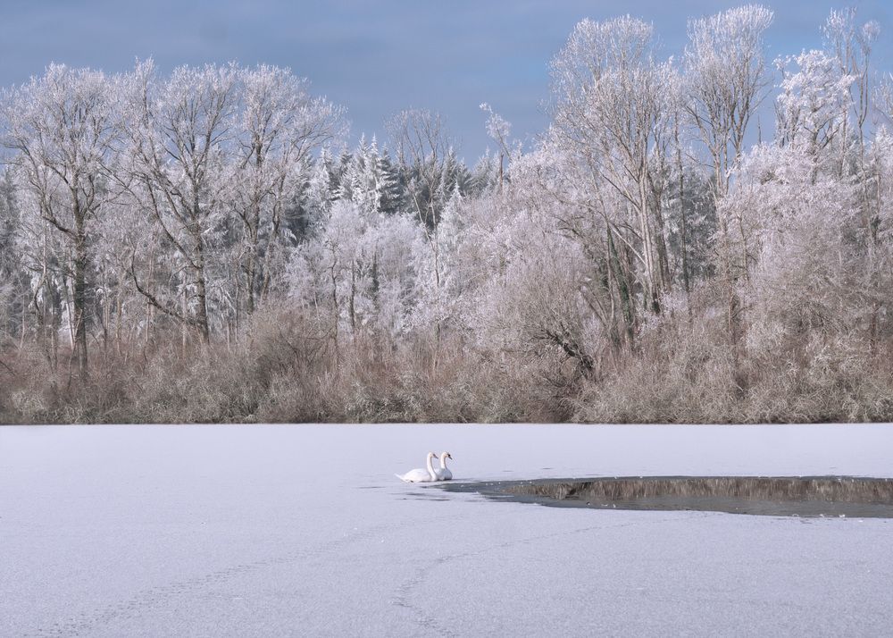 Photograph by LYUDMYLA POKRYSHEN