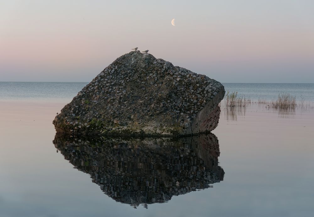 Photograph by Александр Парамонов