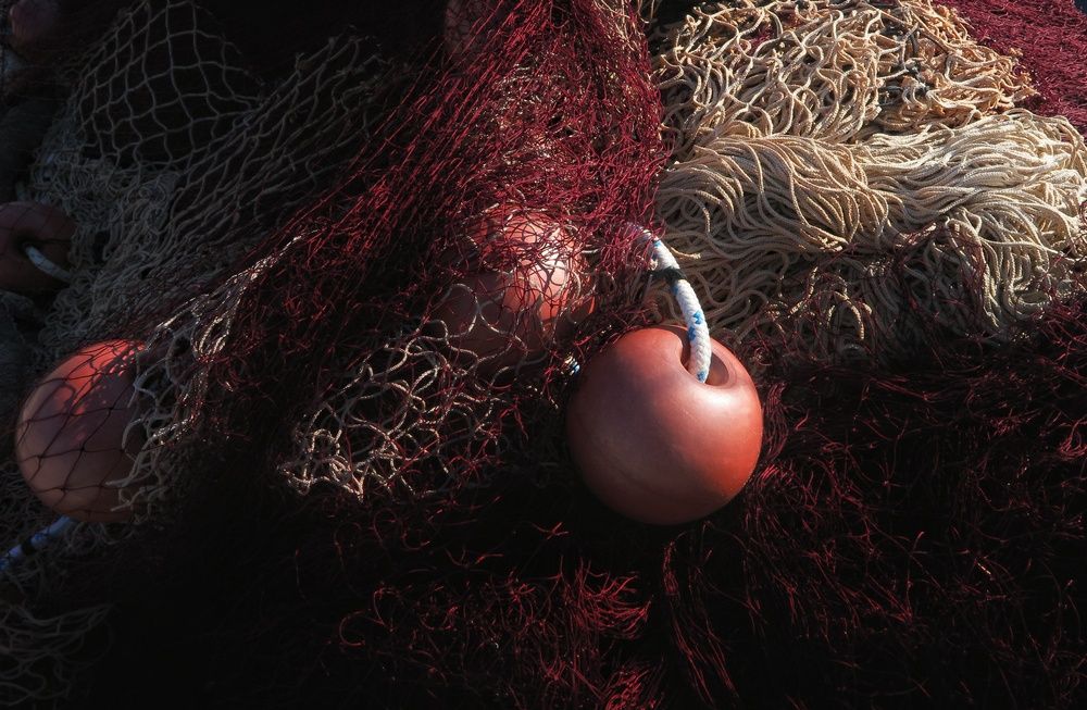 Photograph by Zlatko Ibrahimović