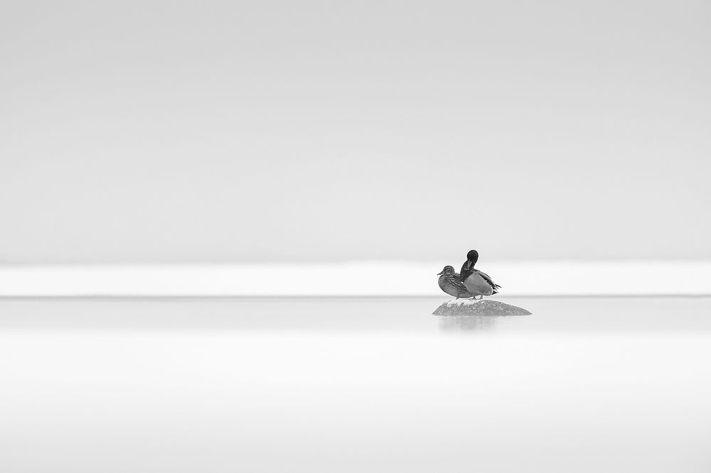 Photograph by Абросимов Александр