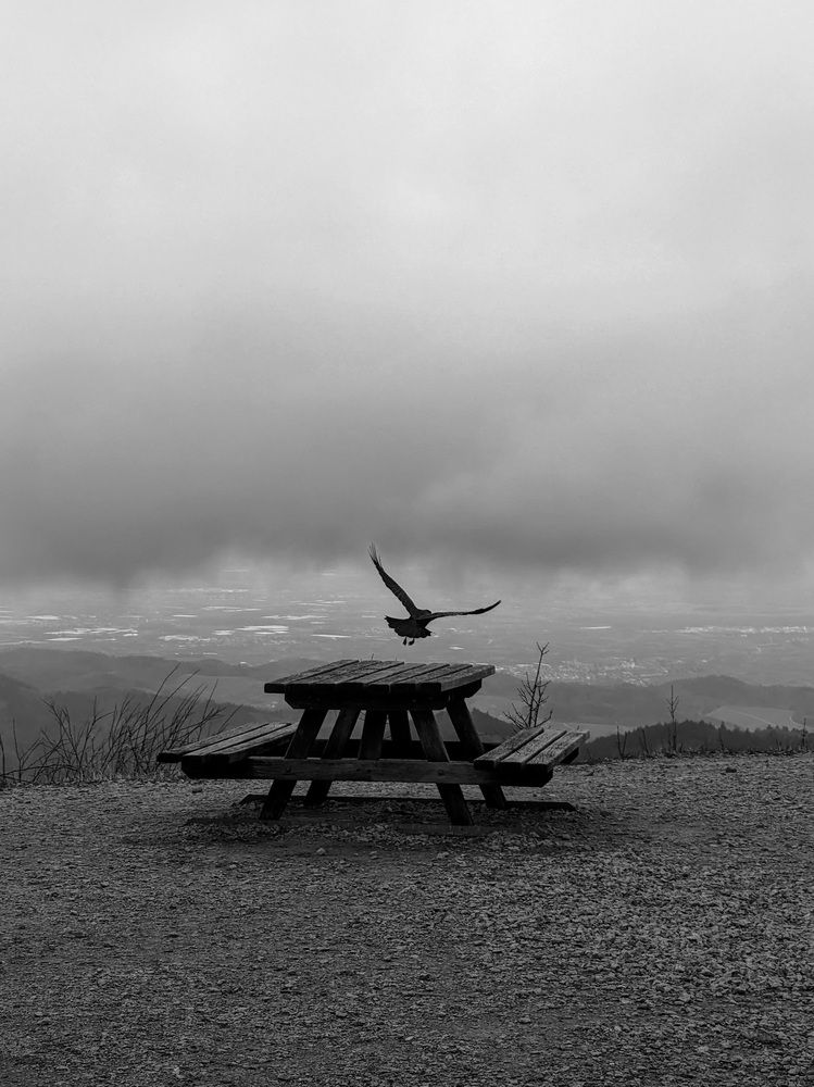 Photograph by Galina Samoylovich