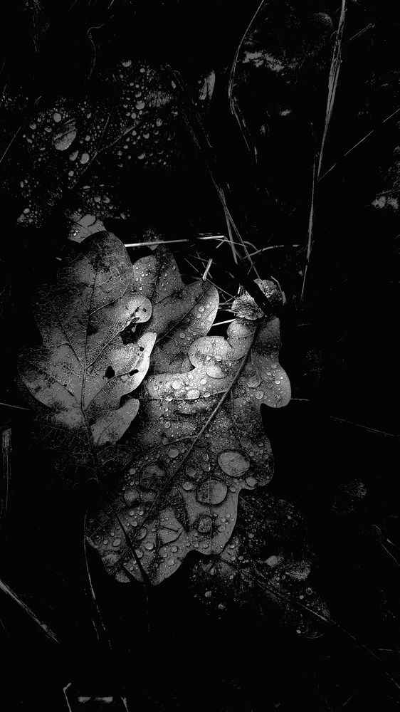 Photograph by Елена Гостева