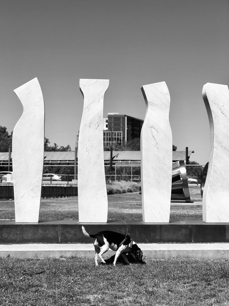 Photograph by Catalina Molina Daruich