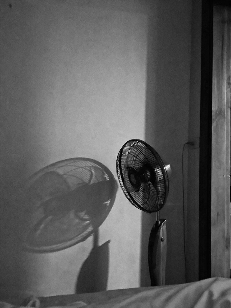 Photograph by Ksenija Bartoško