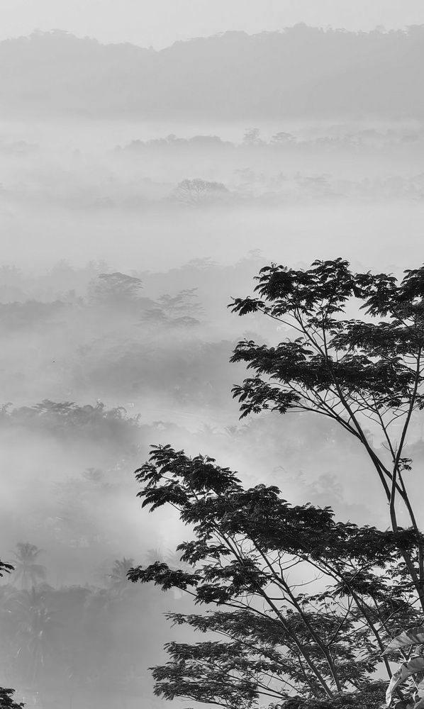 Фотография автора Светлана Зимина