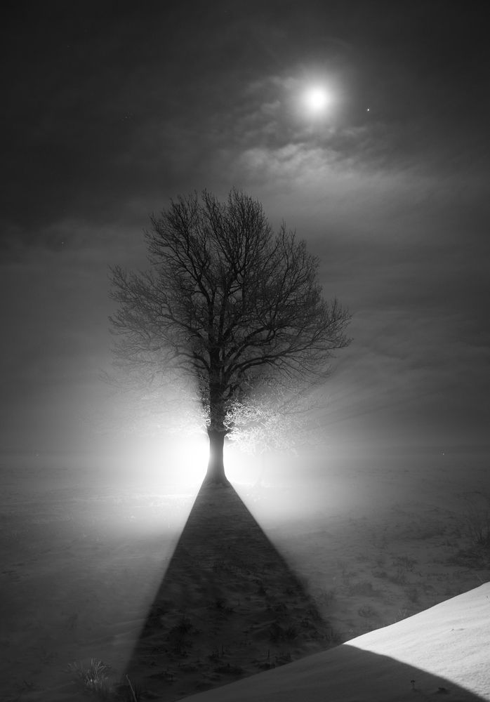 Photograph by Александр Парамонов