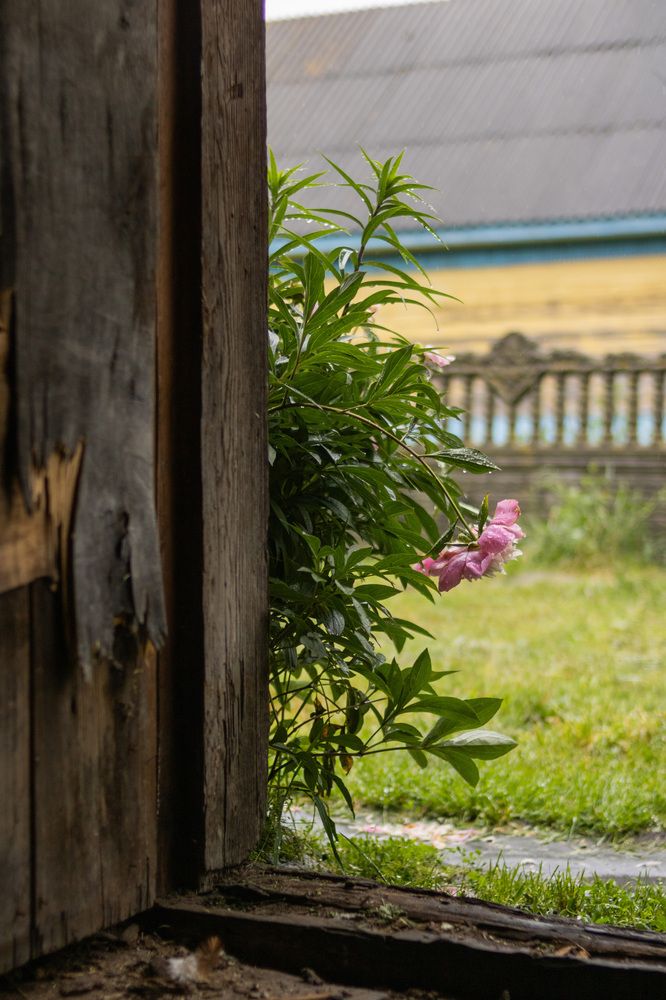 Фотография автора Настасья Грицкевич