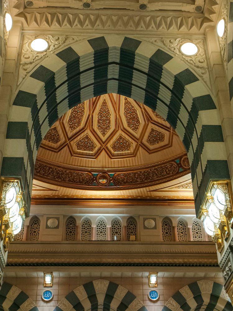 Фотография автора Sara Attia