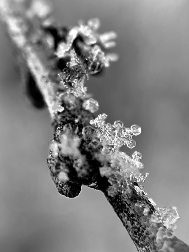 Photograph by Ирина Хлебникова