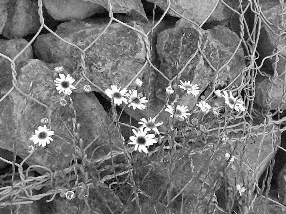 Photograph by Андрей Ушаков